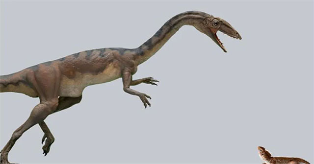 Phát hiện loài khủng long hoàn toàn mới ở Thuỵ Sĩ