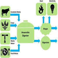 Nhiêu liệu sinh học low-carbon: Nhiều thân thiện môi trường Nhiêu liệu sinh học low-carbon: Nhiều thân thiện môi trường