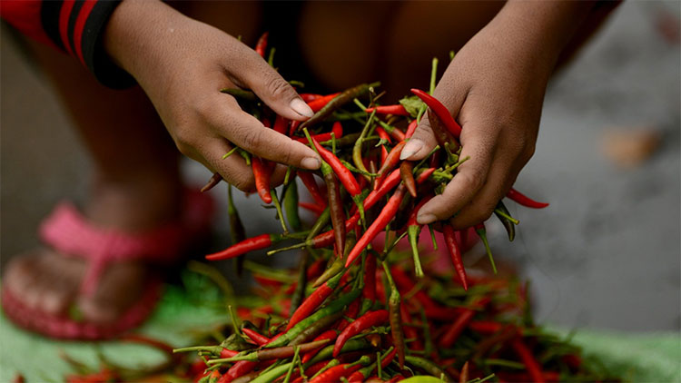 Ớt được bán tại một khu chợ ở Manila, Philippines