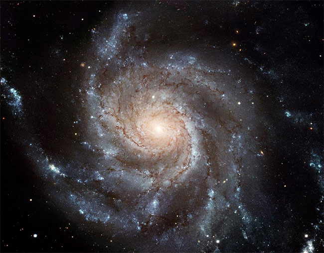 Thiên hà đĩa là thiên hà có dạng hình đĩa, vùng trung tâm có dạng đĩa hoặc không.