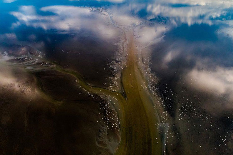 Hình ảnh mô phỏng cảnh thủy triều tuyệt đẹp ở vùng ven biển