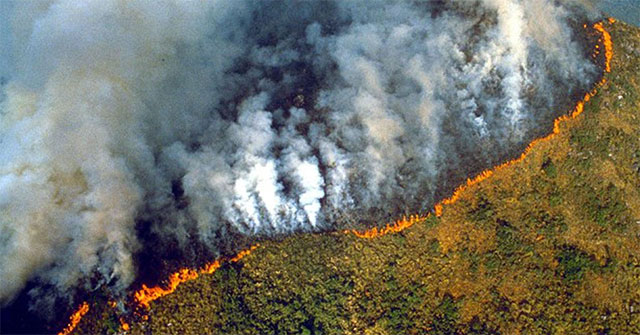 Rừng Amazon cháy lớn, từ trên quỹ đạo cũng nhìn được khói