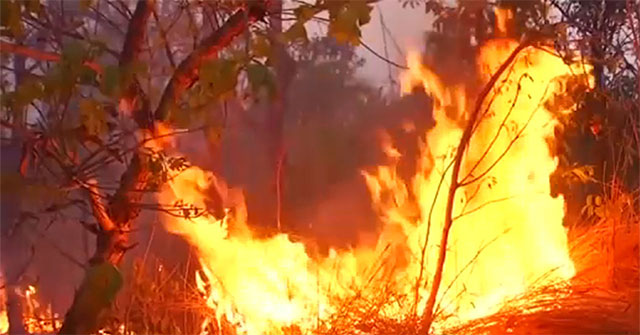 Loạt ảnh gây sốc về rừng Amazon bùng cháy với tốc độ kỷ lục