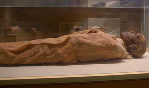 Nhiều người lầm tưởng vua Ramses III chết bởi nguyên nhân tự nhiên.