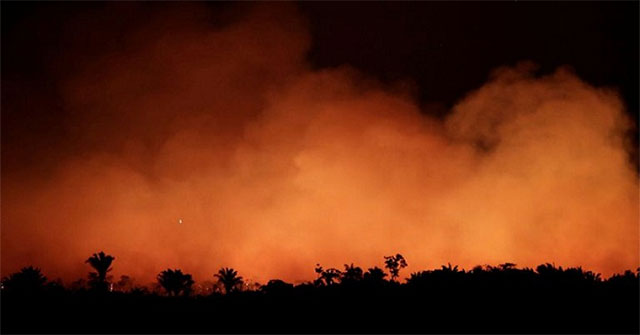 Cháy rừng Amazon ảnh hưởng sức khỏe con người như thế nào?