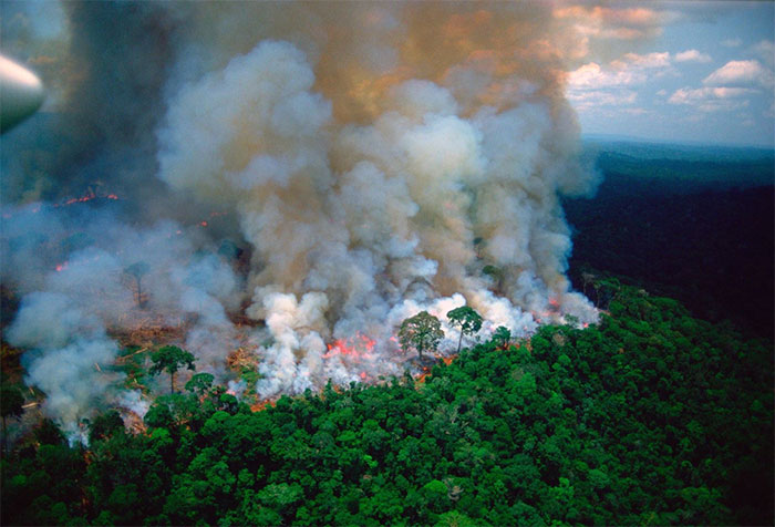 Cháy rừng Amazon gây hậu quả nặng nề cho biến đổi khí hậu