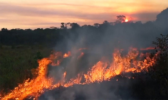 Brazil xảy ra hơn 72.000 vụ cháy rừng năm nay.