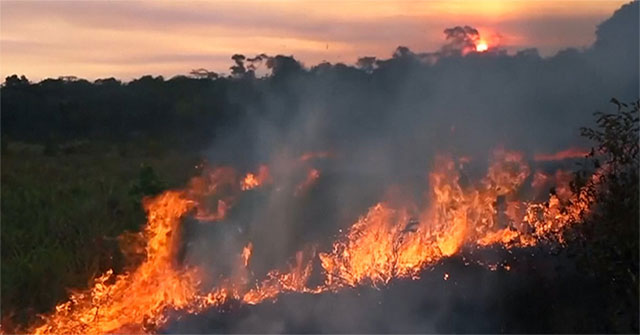 Hậu quả khủng khiếp của cháy rừng Amazon