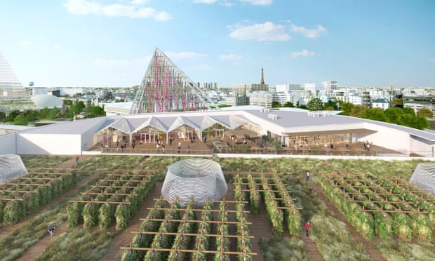 Trang trại mới trên sân thượng ở Paris sẽ là trang trại lớn nhất trên thế giớ