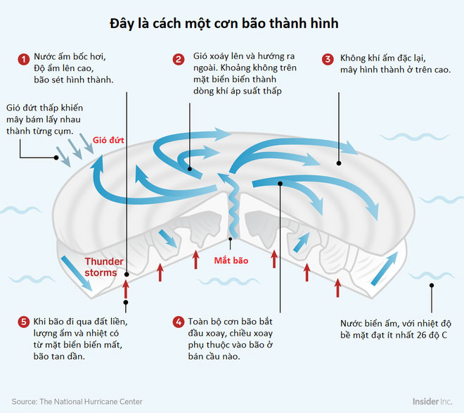 Cách một cơn bão hình thành