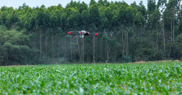 Vũ khí hi-tech mới của nông dân diệt 98% côn trùng gây hại