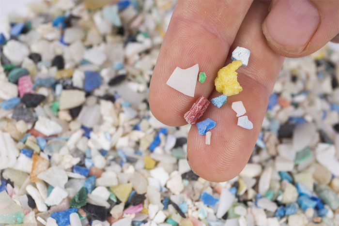 Vi nhựa có mặt ở mọi nơi xung quanh chúng ta