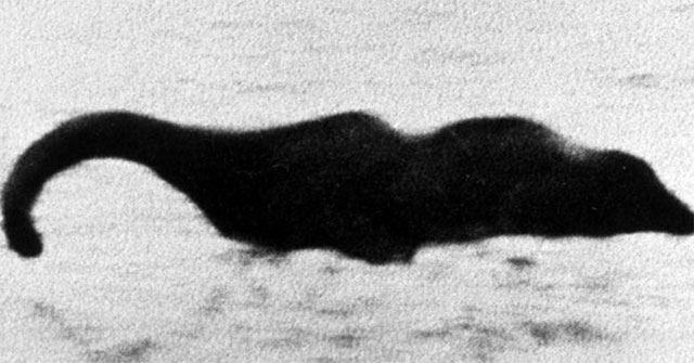 Quái vật hồ Loch Ness có thể là một con lươn khổng lồ