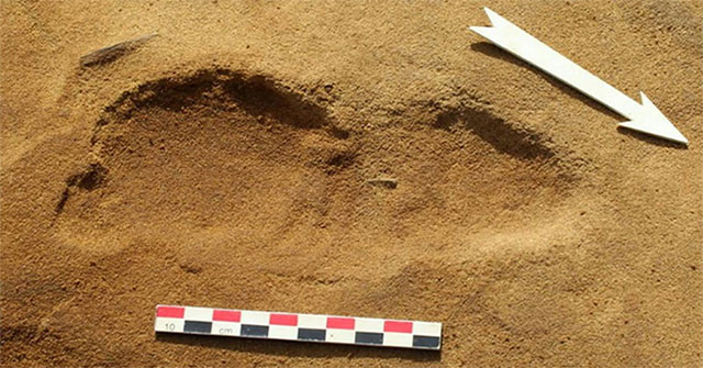 Phát hiện dấu chân người vùi dưới cát 80.000 năm