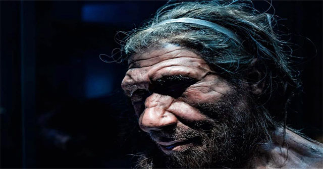 Căn bệnh phổ biến ở trẻ em có thể là nguyên nhân khiến người Neanderthal tuyệt chủng