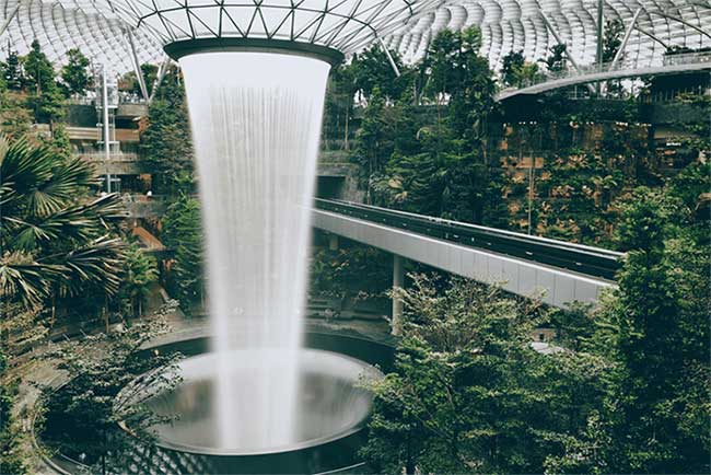 Cây xanh và thác nước trong sân bay Singapore.