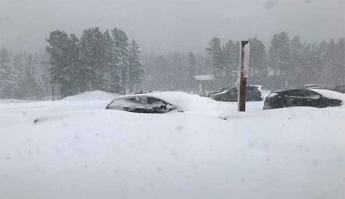 Ô tô bị ngập trong tuyết rơi dày hơn 1m.