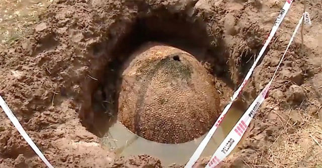Ngư dân tình cờ tìm thấy chiếc mai khổng lồ 10.000 năm tuổi ở Argentina