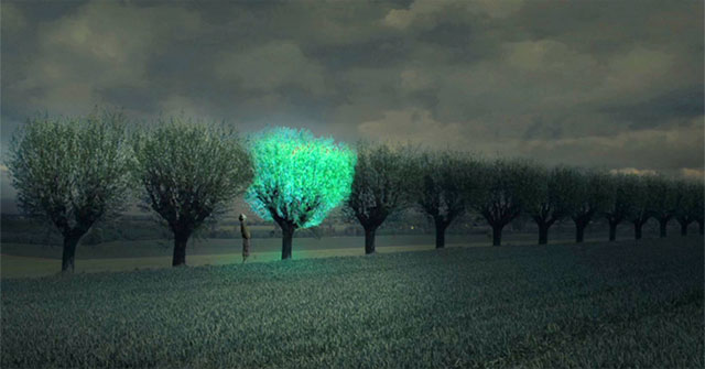Bạn nghĩ sao về cây xanh phát sáng như đèn đường?