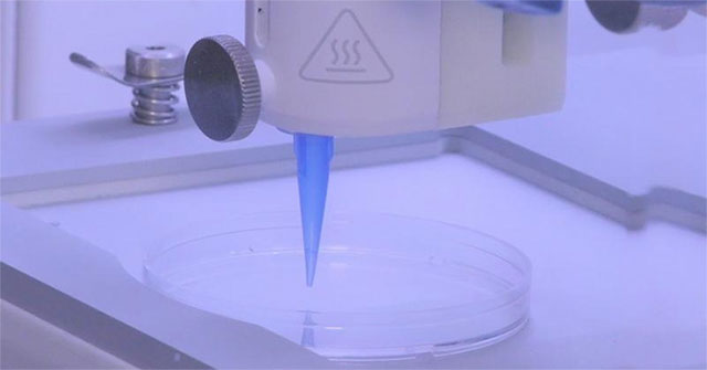 Có thể tạo lớp da gồm cả mạch máu bằng máy in sinh học 3D