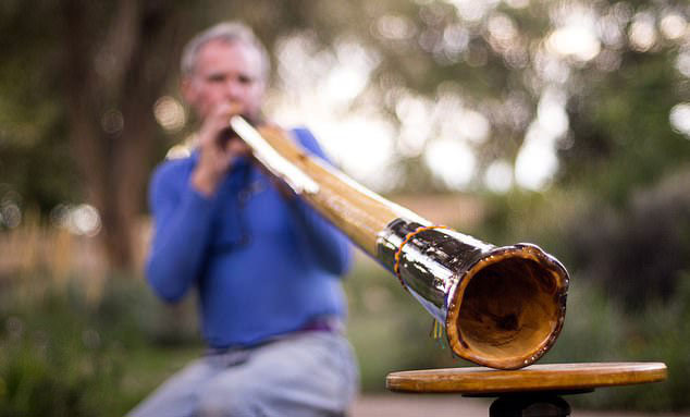 Kèn Didgeridoo của người Úc đã giúp nhiều bệnh nhân cải thiện về hô hấp