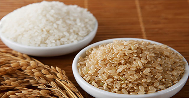 Phát hiện chất chống lão hóa trong gạo