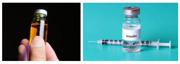Bò là nguồn insulin dành cho người tiểu đường.