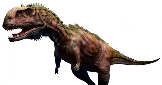 Cứ 2 tháng, loài khủng long này lại thay răng vì ăn quá nhiều thịt