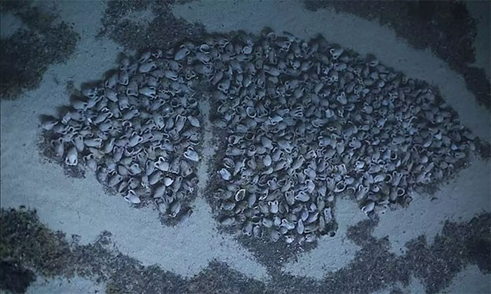 Picture 1 of Discovered wreck carrying 6,000 jars of ancient wine