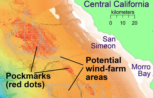 Picture 1 of Thousands of mysterious holes appear on the bottom of the California Sea