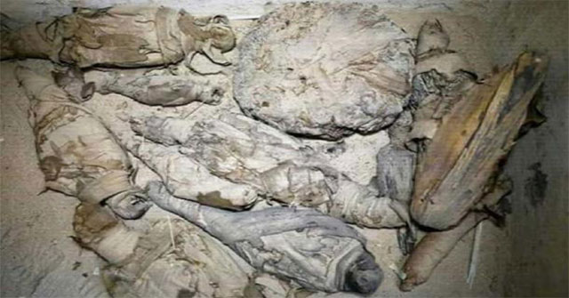 Khai quật mộ cổ Ai Cập 2.500 năm tuổi, bất ngờ phát hiện bên trong chứa hàng chục xác ướp mèo