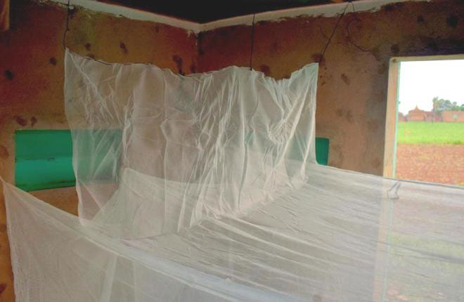 Thử nghiệm tấm màn chống muỗi kiểu mới ở Châu Phi.