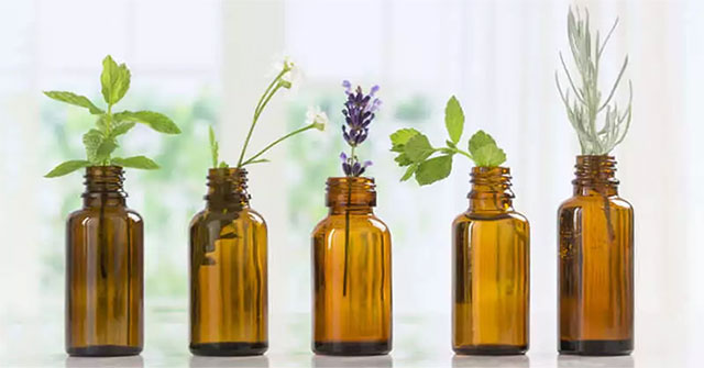 Hợp chất từ thực vật giúp chữa lành vết thương