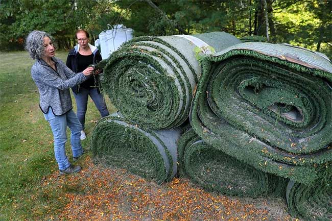 Các thảm cỏ nhân tạo đã qua sử dụng ở Franklin, Massachusett