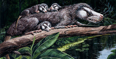 Động vật có vú sống từ cuối Triassic đến Jurassic sớm.
