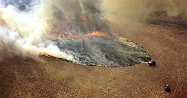 Khí carbon do cháy rừng ở Australia tương đương lượng khí thải cháy rừng Amazon