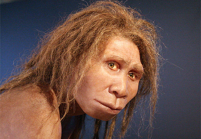Homo georgicus
