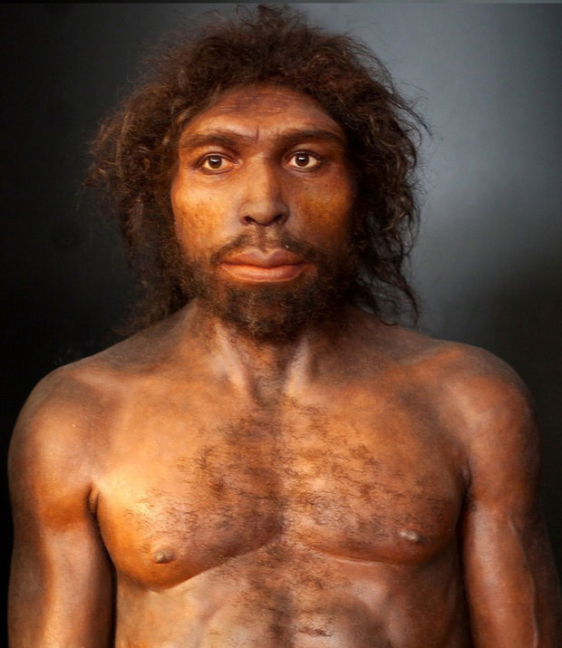 Homo rhodesiensis