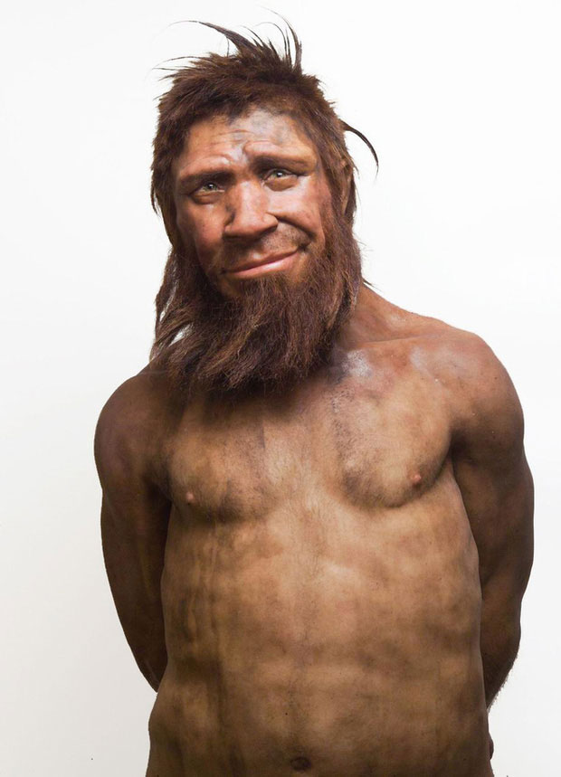 Неандерталец кроманьонец денисовец. Неандерталец (homo Neanderthalensis). Homo sapiens sapiens кроманьонец. Хомо сапиенс Денисовский человек неандерталец.