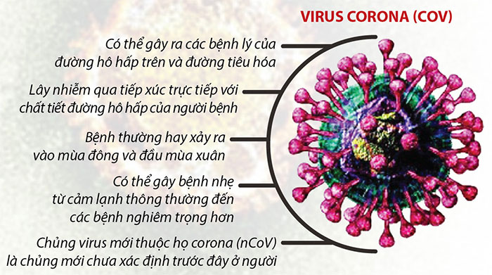 Thông tin cơ bản về virus corona