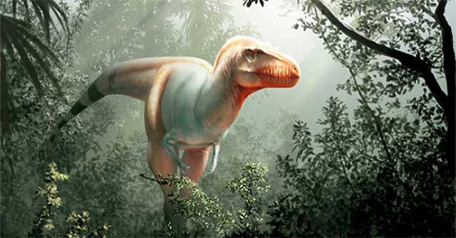 Hóa thạch tiết lộ họ hàng của khủng long bạo chúa