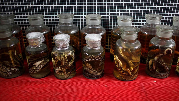 Các lọ rượu ngâm rắn được bảo quản trong một trang trại rắn ở Chiết Giang, Trung Quốc.