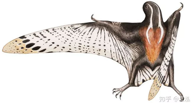 Những con thằn lằn bay này độc đáo ở chỗ chúng có thể giữ móng vuốt bấu vào nhau.