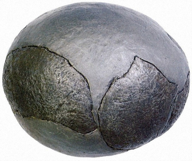 Discover fossil eggs of the mysterious dinosaur