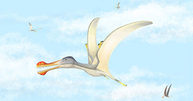 Phát hiện ba loài thằn lằn bay có răng lớn