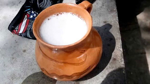 Pulque được hình thành từ quá trình lên men của nhựa cây thùa
