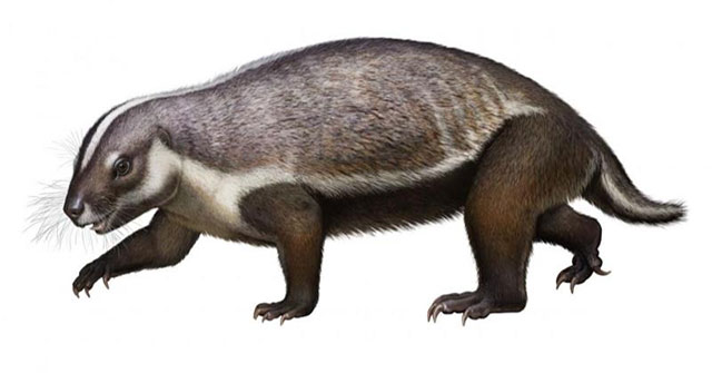 Hình dạng kỳ dị của loài "quái thú điên rồ" 66 triệu năm tuổi