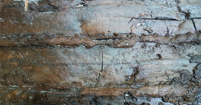 Bất ngờ phát hiện thuyền "khâu" 2.000 năm tuổi dưới lòng đất