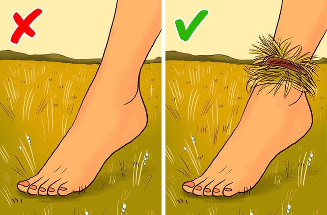 Kỹ Năng Sinh Tồn Trong Rừng Bi Kip Giup Bạn Sống Sot Khi Bị Lạc