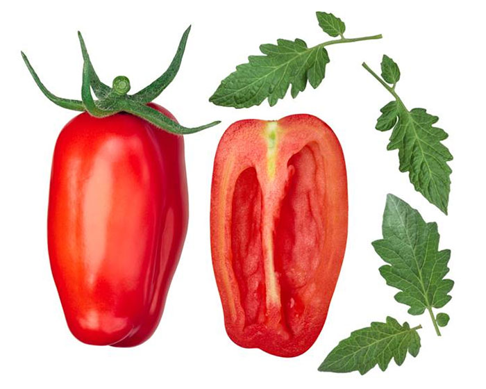 Cà chua chính xác là một loại trái cây chứ không phải thuộc nhóm rau. 
